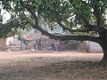 Adaklu Have